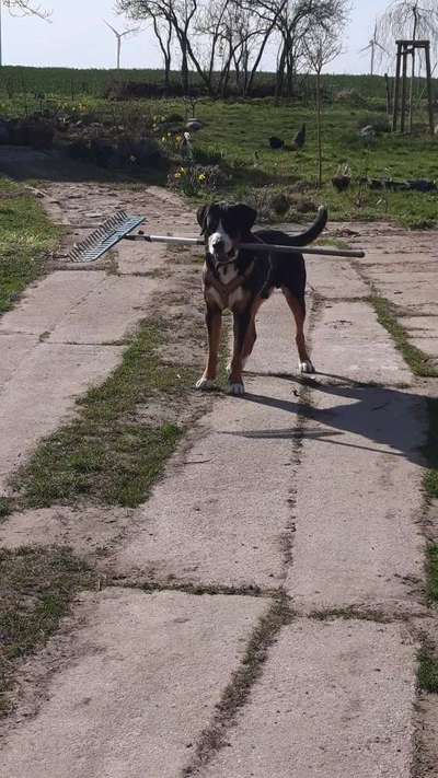 Fotochallenge 129-Beitrag-Bild