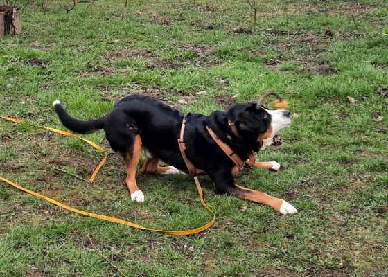 10. Kurzgeschichten Challenge - Voll in Action-Beitrag-Bild