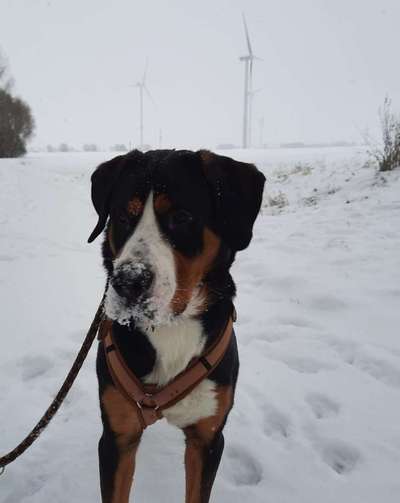 14. Farbenfoto-Challenge "Weiss"-Beitrag-Bild