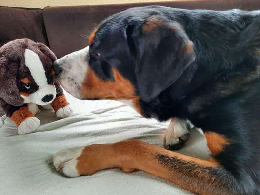 Fotochallenge 130-Beitrag-Bild