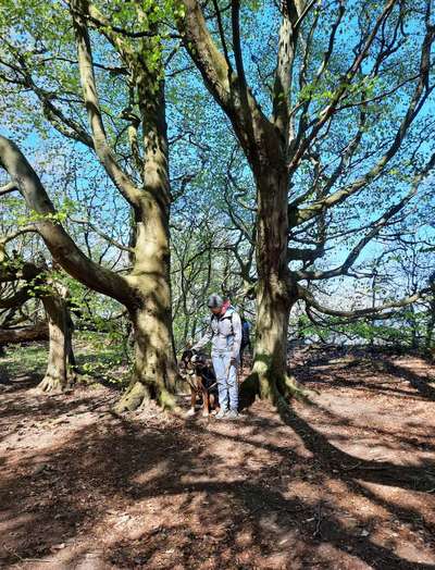 151. Photo Challenge: Sehenswürdigkeiten-Beitrag-Bild