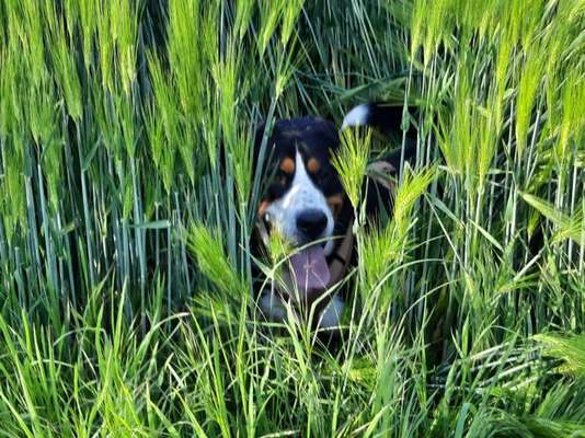 80. Foto  Challenge - Versteckt/ in einer Höhle-Beitrag-Bild