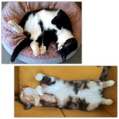 Foto Challenge - Zeigt her eure Bäuche-Beitrag-Bild