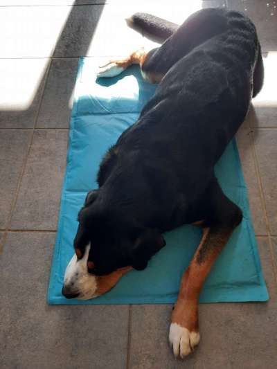 23. Farben / Fotochallenge - Türkis --Beitrag-Bild