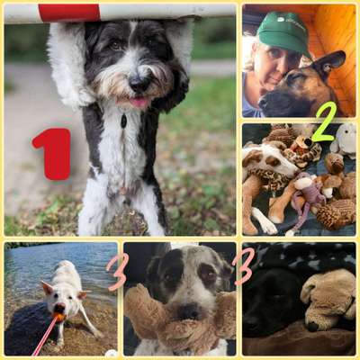 65. Handy Foto Challange                     "Ich kann nicht ohne..."-Beitrag-Bild