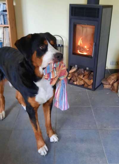 32. Farben Challenge  ** ( BUNTE ) STREIFEN **-Beitrag-Bild