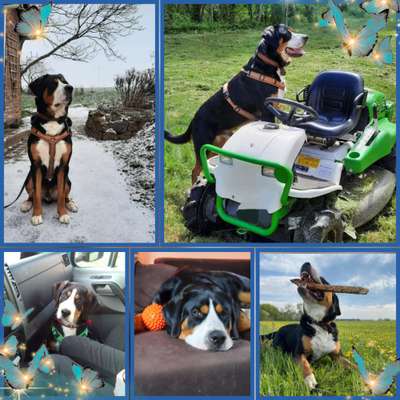 32. Collagen Challenge - eure liebsten gestellten Fotos-Beitrag-Bild