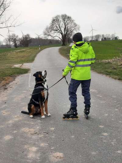 41. Handy Fotochallenge - Euer gemeinsames Hobby-Beitrag-Bild