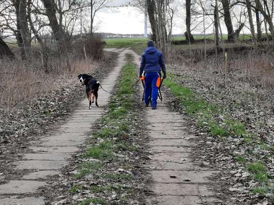 30. Collagen Challenge - Wege/Straßen-Beitrag-Bild