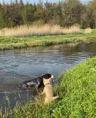 Foto Challenge Nr.133-Beitrag-Bild