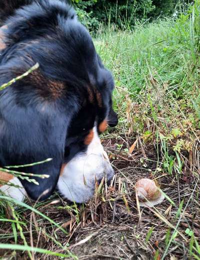 155. FotoChallange * David und Goliath *-Beitrag-Bild