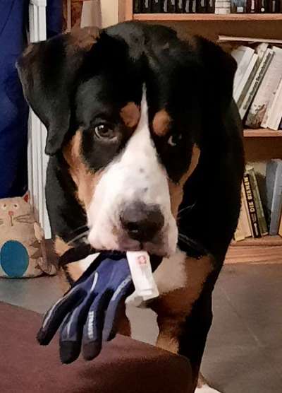 69. Handy-Fotochallenge: Soundtrack-Beitrag-Bild