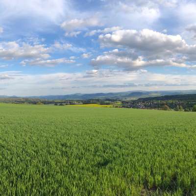 Hundeauslaufgebiet-Hohburkersdorfer Rundblick-Bild