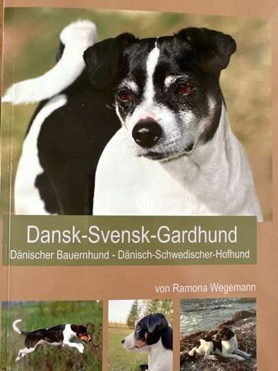 Dansky (Dansk-Svensk Gårdshund)-Beitrag-Bild