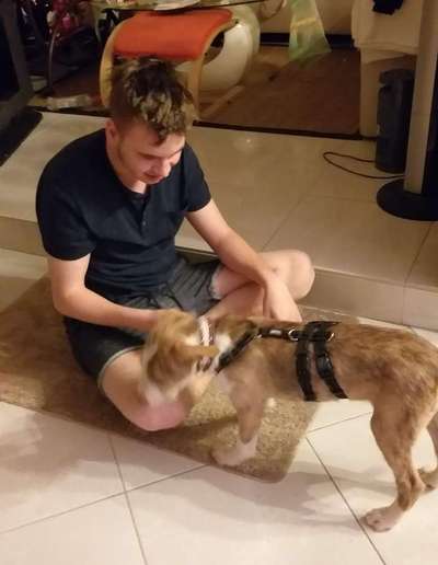 Das erste Foto-Beitrag-Bild