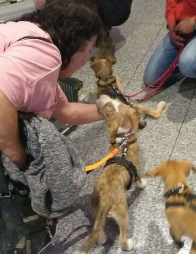 Das erste Foto-Beitrag-Bild