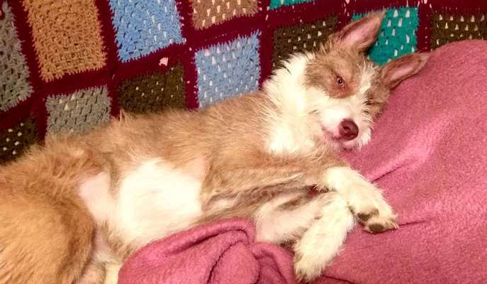 Challenge Nr. 10: "Das schönste Lächeln"-Beitrag-Bild