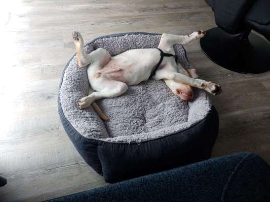 Foto Challenge - Zeigt her eure Bäuche-Beitrag-Bild