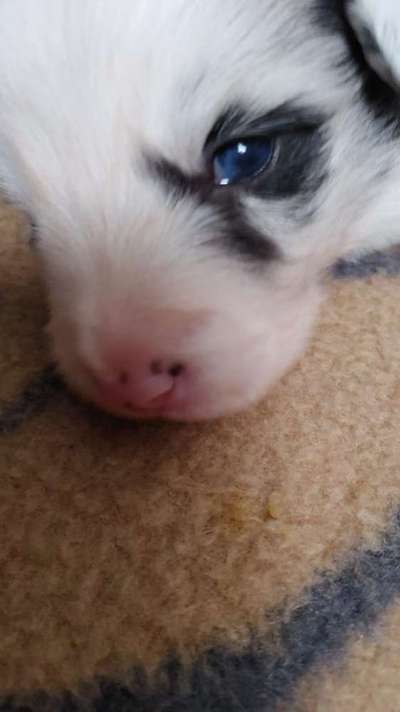 Blick fürs Detail!-Beitrag-Bild