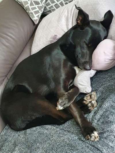 Die unbequemsten und lustigsten Schlafpositionen-Beitrag-Bild