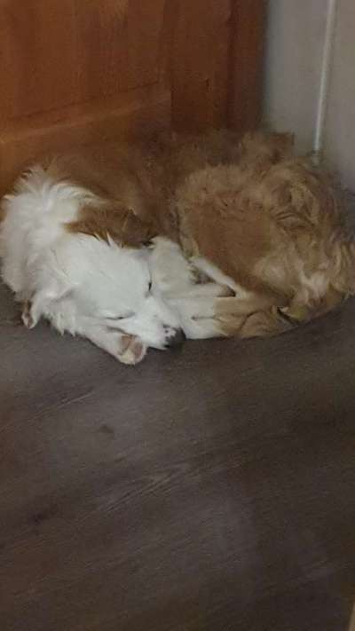 Foto Challenge Nr. 134-Beitrag-Bild