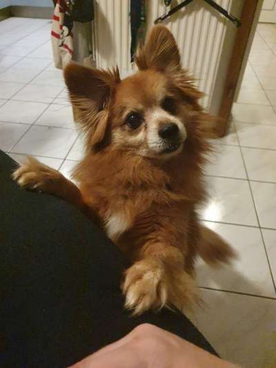 Lieblingsbild :D-Beitrag-Bild