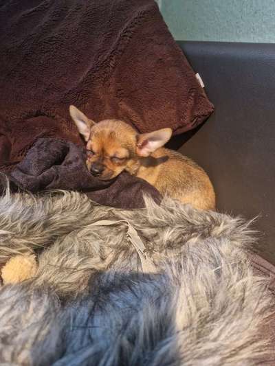 Foto Challenge Nr. 134-Beitrag-Bild