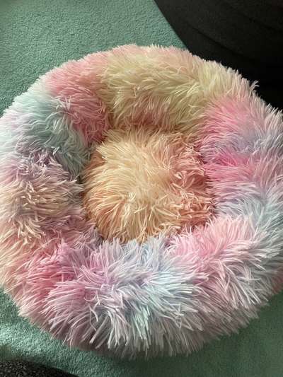 Kleines Kuschelbettchen für kl. Hunde oder Katzen-Beitrag-Bild