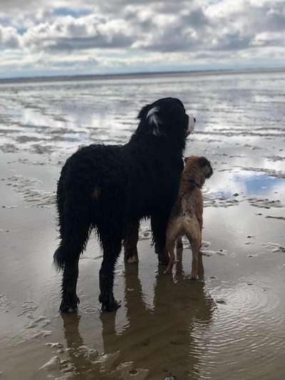 FOTO-Challenge  NR. 91: Die pure Entspannung-Beitrag-Bild