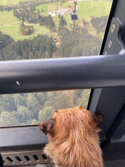 Fotochallenge Nr 107-Beitrag-Bild