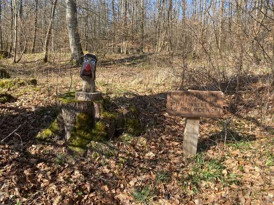 Hundeauslaufgebiet-Erkundungstour Mademühlen/Krombach-Bild