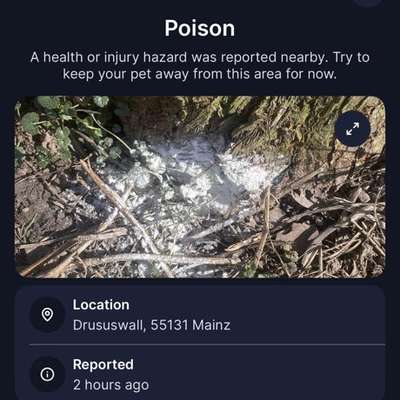 Giftköder-Weißes Pulver ausgelegt-Bild