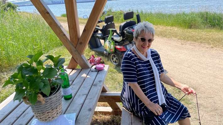 Radfahren mit Hund-Beitrag-Bild