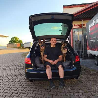 Hundetreffen-Social Walk