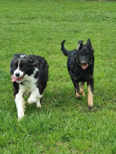 42.Fotochallenge - Eure schönen Momente beim Spaziergang-Beitrag-Bild