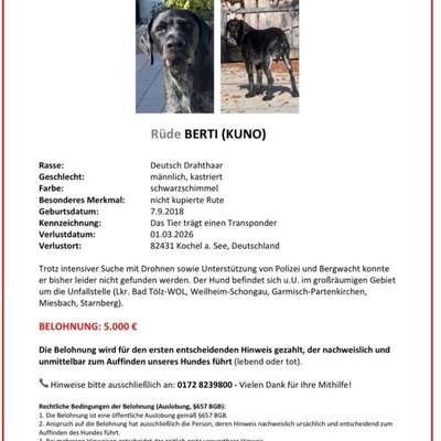 Suchmeldung-Berti-Bild