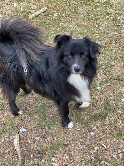 Lieblingsbild-Beitrag-Bild