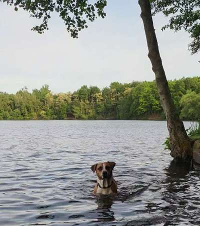 Theos Fotochallange Nummer 4-Beitrag-Bild