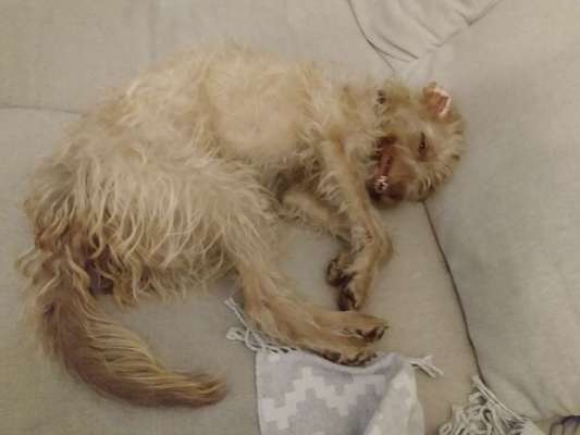 "Die eingefangene Magie des Augenblicks"-Beitrag-Bild