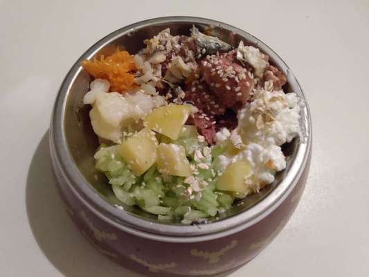 Zeigt her Eure Futternäpfe-Beitrag-Bild