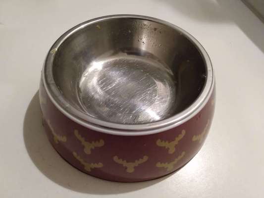 Zeigt her Eure Futternäpfe-Beitrag-Bild