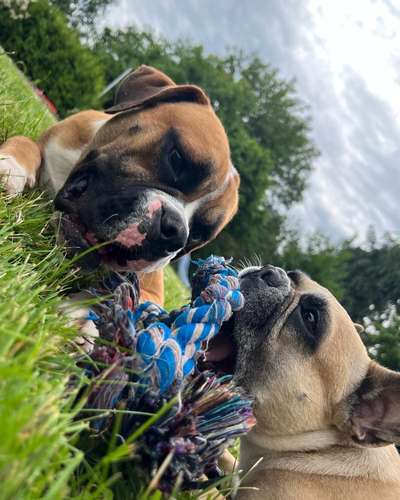 Theos Fotochallange Nummer 4-Beitrag-Bild