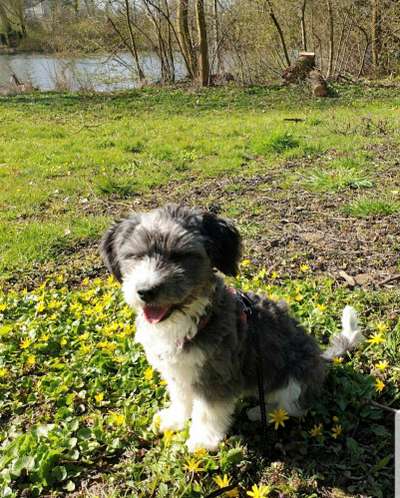 Lieblingsbild :D-Beitrag-Bild