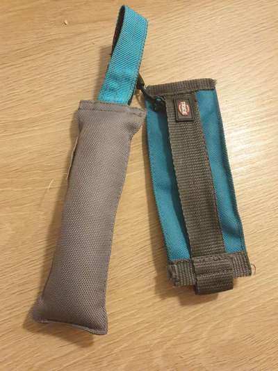 Dummy Training-Beitrag-Bild