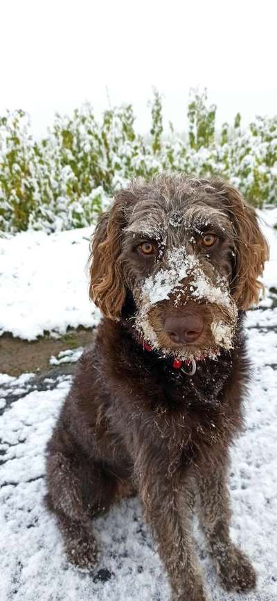 Der erste Schnee, zeigt uns eure tollen Schneemomente-Beitrag-Bild