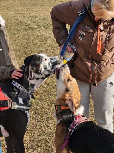 Handyfoto challenge Nr. 13: Waschlappen raus!-Beitrag-Bild