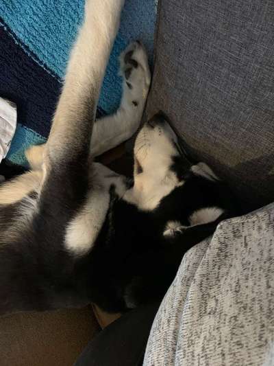 Die unbequemsten und lustigsten Schlafpositionen-Beitrag-Bild