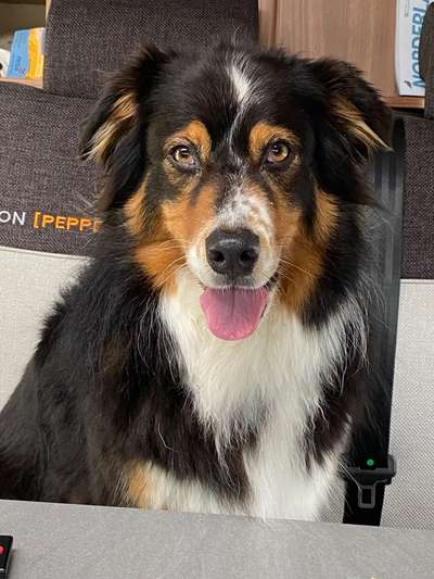 Lieblingsbild :D-Beitrag-Bild