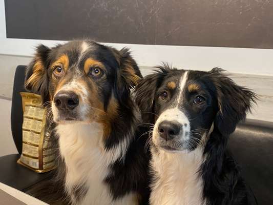 Lieblingsbild :D-Beitrag-Bild