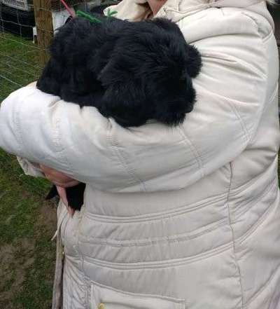 Sie werden so schnell erwachsen ...-Beitrag-Bild